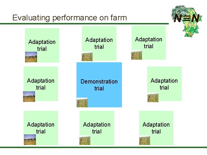 Evaluating performance on farm Adaptation trial Demonstration trial Adaptation trial Adaptation trial 