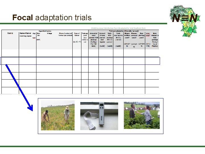 Focal adaptation trials 