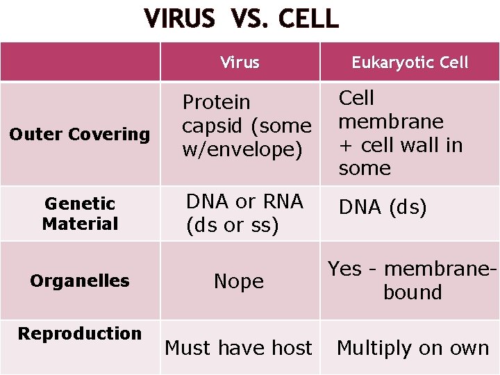 VIRUS VS. CELL Virus Outer Covering Genetic Material Organelles Reproduction Eukaryotic Cell Protein capsid