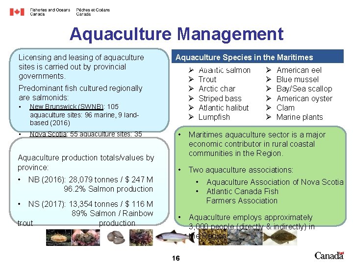Aquaculture Management Licensing and leasing of aquaculture sites is carried out by provincial governments.