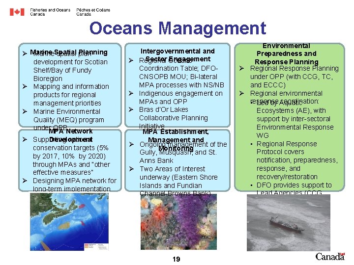 Oceans Management Planning Marine. Spatial spatial plan development for Scotian Shelf/Bay of Fundy Bioregion