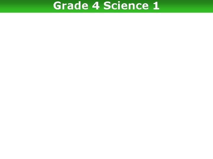 Grade 4 Science 1 