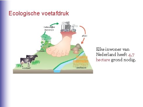 Ecologische voetafdruk Elke inwoner van Nederland heeft 4, 7 hectare grond nodig. 