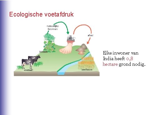 Ecologische voetafdruk Elke inwoner van India heeft 0, 8 hectare grond nodig. 