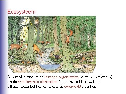 Ecosysteem Een gebied waarin de levende organismen (dieren en planten) en de niet-levende elementen