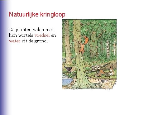 Natuurlijke kringloop De planten halen met hun wortels voedsel en water uit de grond.