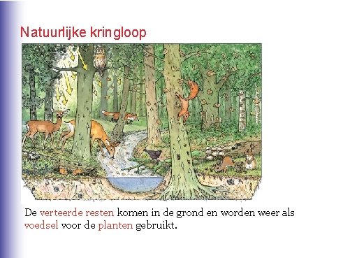 Natuurlijke kringloop De verteerde resten komen in de grond en worden weer als voedsel