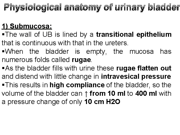 Physiological anatomy of urinary bladder 1) Submucosa: §The wall of UB is lined by