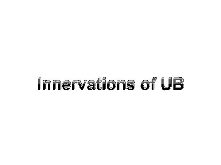 Innervations of UB 