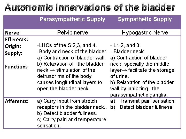 Autonomic Innervations of the bladder Nerve Efferents: Origin: Supply: Functions Afferents: Parasympathetic Supply Sympathetic