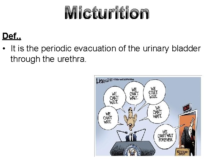 Micturition Def. , • It is the periodic evacuation of the urinary bladder through
