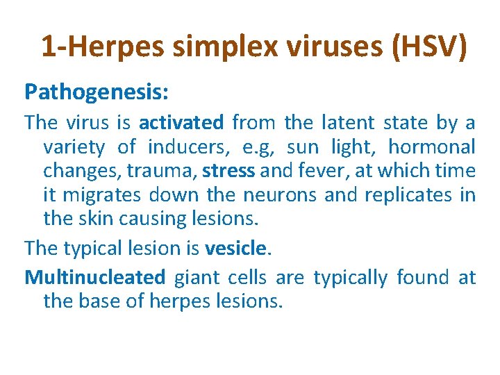 1 -Herpes simplex viruses (HSV) Pathogenesis: The virus is activated from the latent state