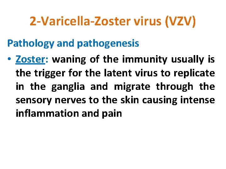 2 -Varicella-Zoster virus (VZV) Pathology and pathogenesis • Zoster: waning of the immunity usually