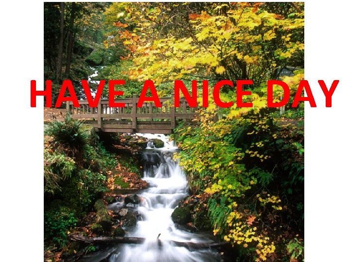 HAVE A NICE DAY 