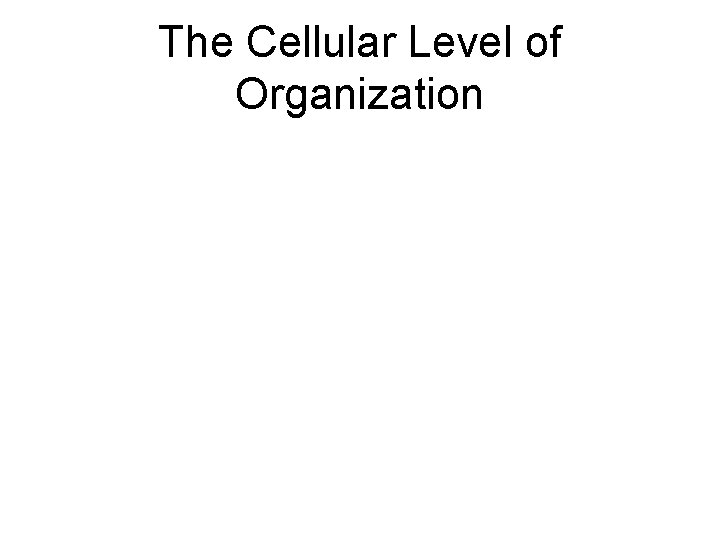 The Cellular Level of Organization 