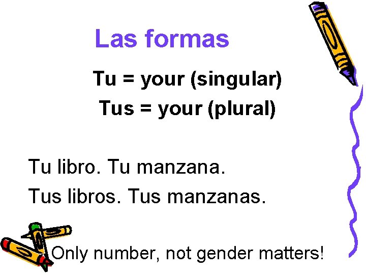 Las formas Tu = your (singular) Tus = your (plural) Tu libro. Tu manzana.