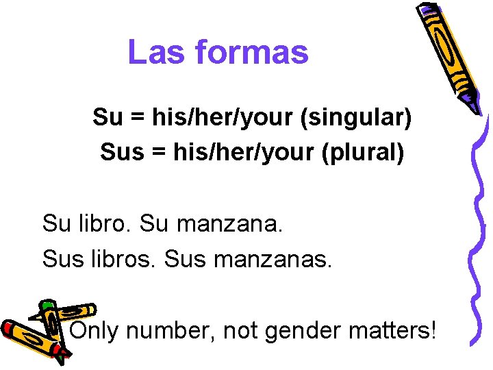 Las formas Su = his/her/your (singular) Sus = his/her/your (plural) Su libro. Su manzana.
