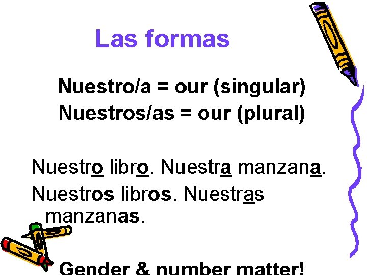 Las formas Nuestro/a = our (singular) Nuestros/as = our (plural) Nuestro libro. Nuestra manzana.