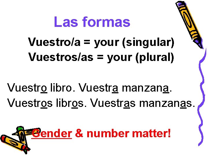 Las formas Vuestro/a = your (singular) Vuestros/as = your (plural) Vuestro libro. Vuestra manzana.