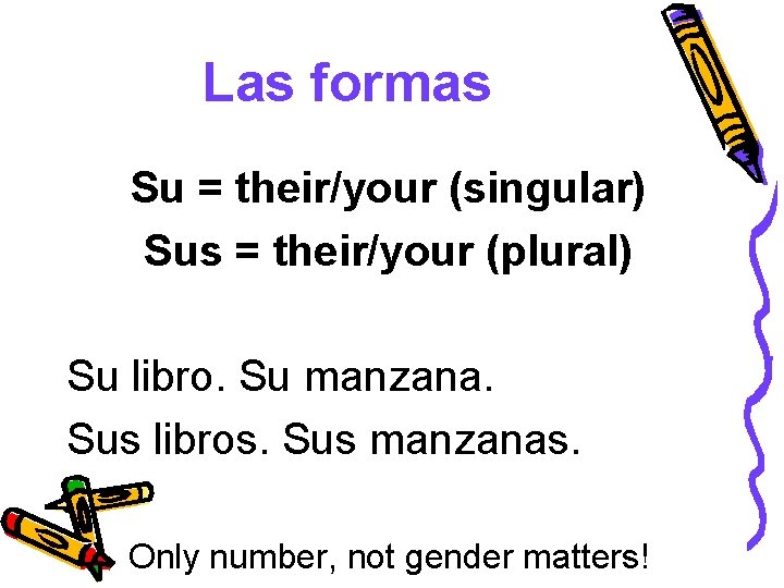 Las formas Su = their/your (singular) Sus = their/your (plural) Su libro. Su manzana.