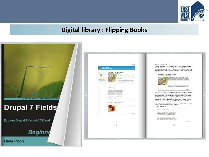 Digital library : Flipping Books 