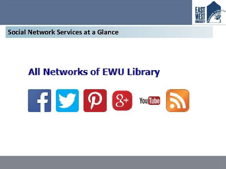 Social Network Services at a Glance 