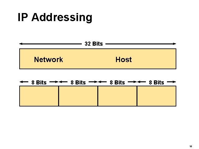 IP Addressing 32 Bits Network 8 Bits Host 8 Bits 19 