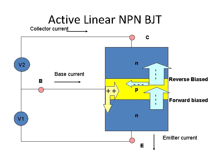 Active Linear NPN BJT Collector current C n V 2 ++ V 1 Reverse