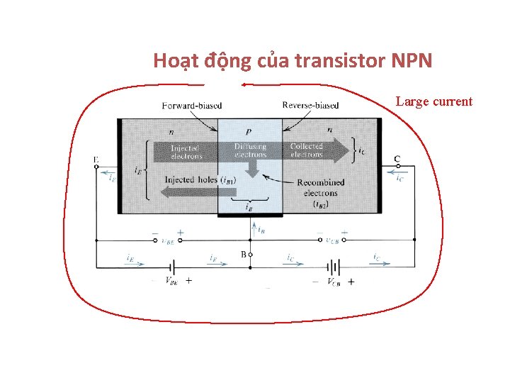 Hoạt động của transistor NPN Large current 