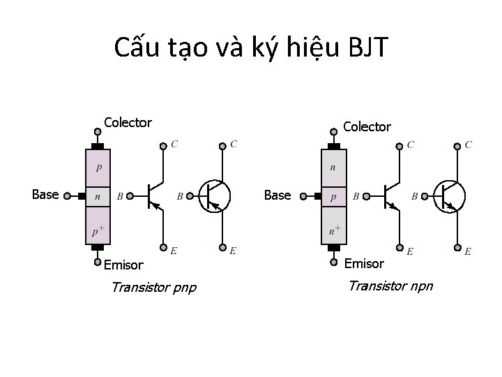 Cấu tạo và ký hiệu BJT 