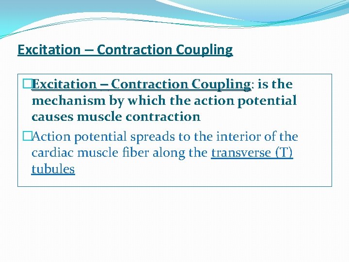 Excitation – Contraction Coupling �Excitation – Contraction Coupling: is the mechanism by which the