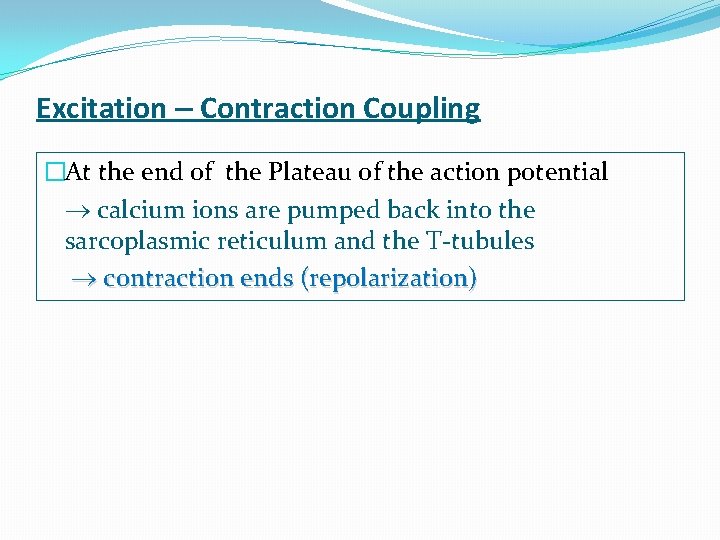 Excitation – Contraction Coupling �At the end of the Plateau of the action potential Excitation – Contraction Coupling �At the end of the Plateau of the action potential