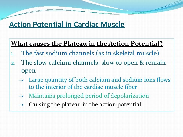 Action Potential in Cardiac Muscle What causes the Plateau in the Action Potential? 1. Action Potential in Cardiac Muscle What causes the Plateau in the Action Potential? 1.