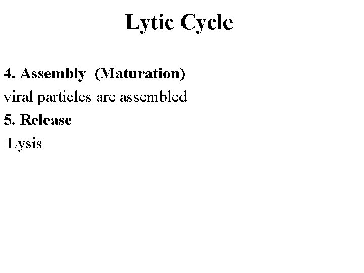 Lytic Cycle 4. Assembly (Maturation) viral particles are assembled 5. Release Lysis 