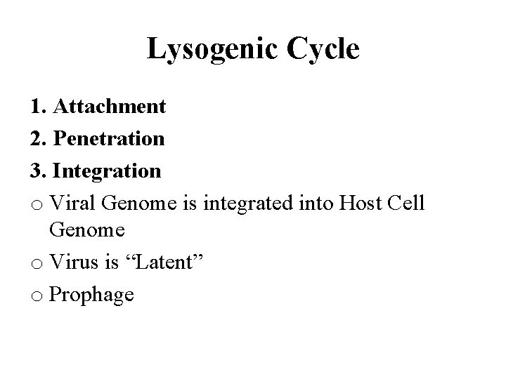 Lysogenic Cycle 1. Attachment 2. Penetration 3. Integration o Viral Genome is integrated into