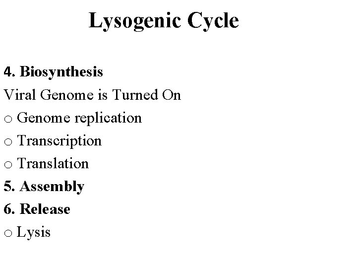 Lysogenic Cycle 4. Biosynthesis Viral Genome is Turned On o Genome replication o Transcription