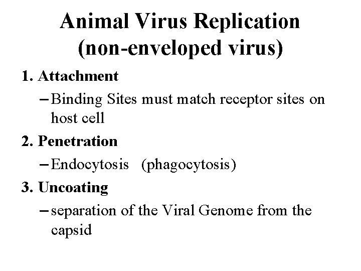 Animal Virus Replication (non-enveloped virus) 1. Attachment – Binding Sites must match receptor sites