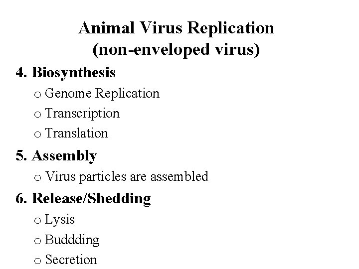 Animal Virus Replication (non-enveloped virus) 4. Biosynthesis o Genome Replication o Transcription o Translation