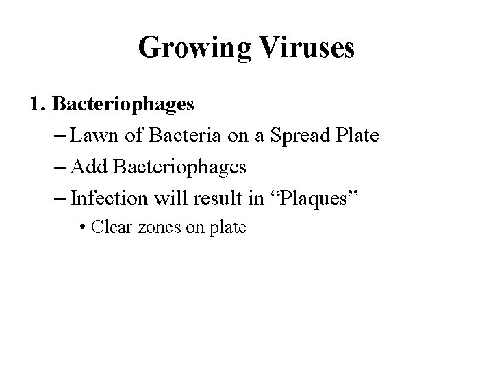 Growing Viruses 1. Bacteriophages – Lawn of Bacteria on a Spread Plate – Add