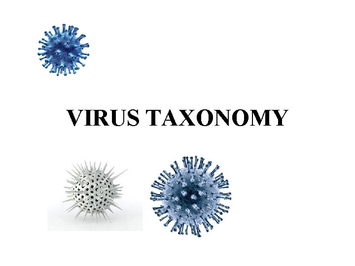 VIRUS TAXONOMY 