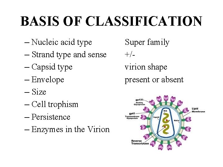 BASIS OF CLASSIFICATION – Nucleic acid type – Strand type and sense – Capsid