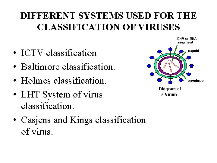 DIFFERENT SYSTEMS USED FOR THE CLASSIFICATION OF VIRUSES • • ICTV classification Baltimore classification.