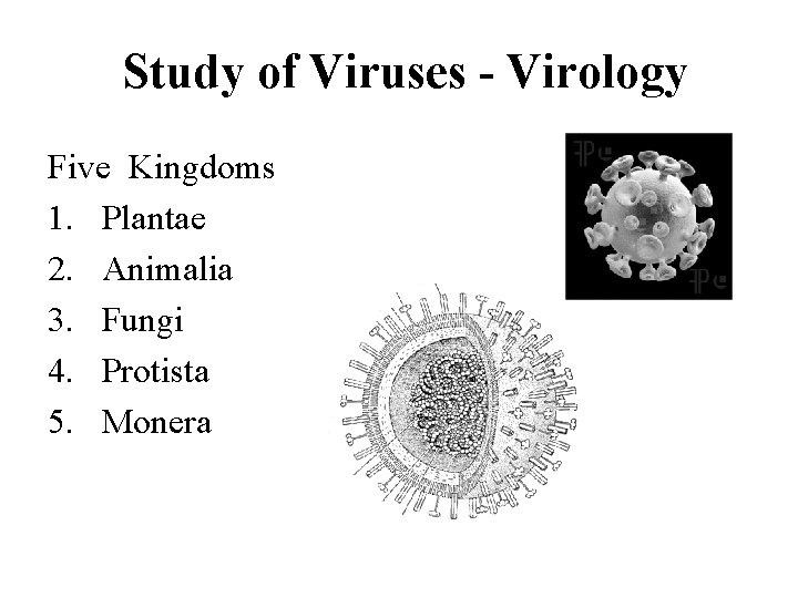 Study of Viruses - Virology Five Kingdoms 1. Plantae 2. Animalia 3. Fungi 4.