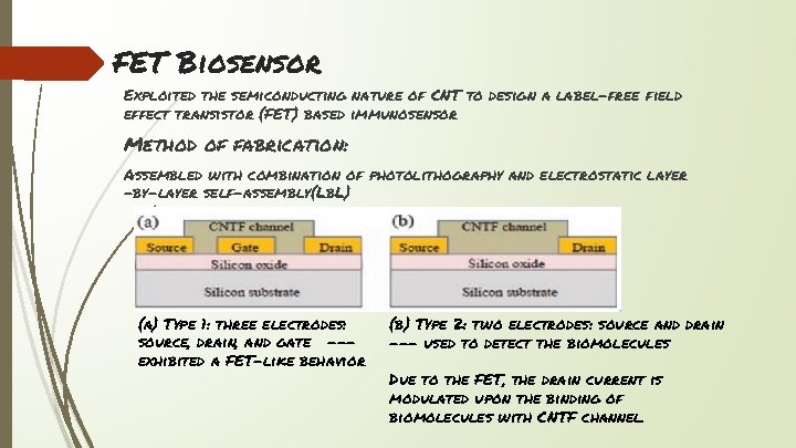 FET Biosensor Exploited the semiconducting nature of CNT to design a label-free ﬁeld effect