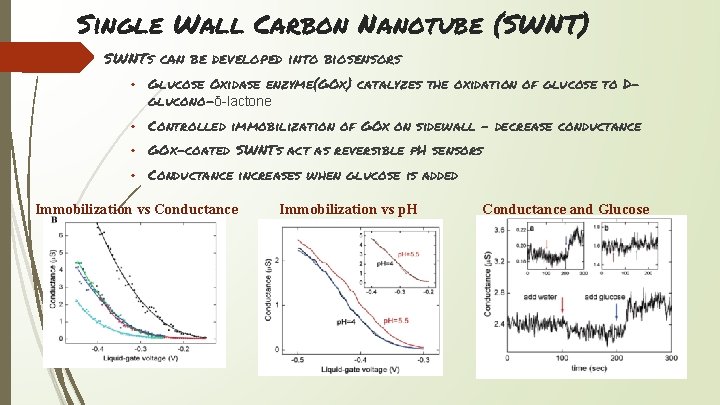 Single Wall Carbon Nanotube (SWNT) SWNTs can be developed into biosensors • Glucose Oxidase