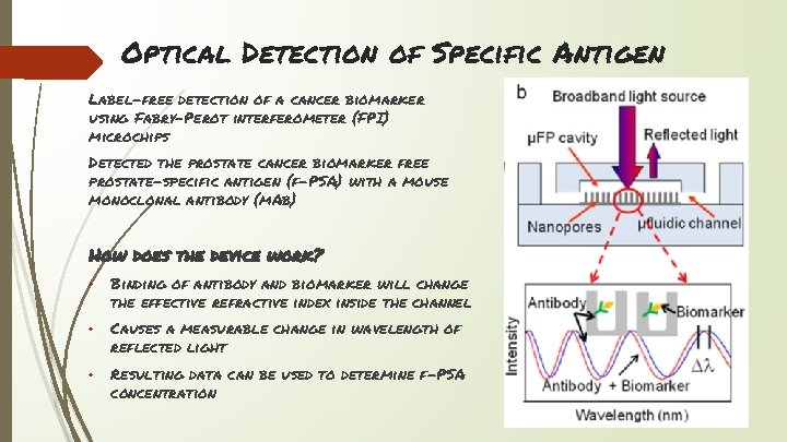 Optical Detection of Specific Antigen Label-free detection of a cancer biomarker using Fabry–Perot interferometer
