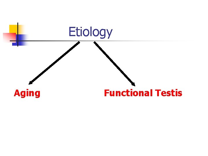 Etiology Aging Functional Testis 