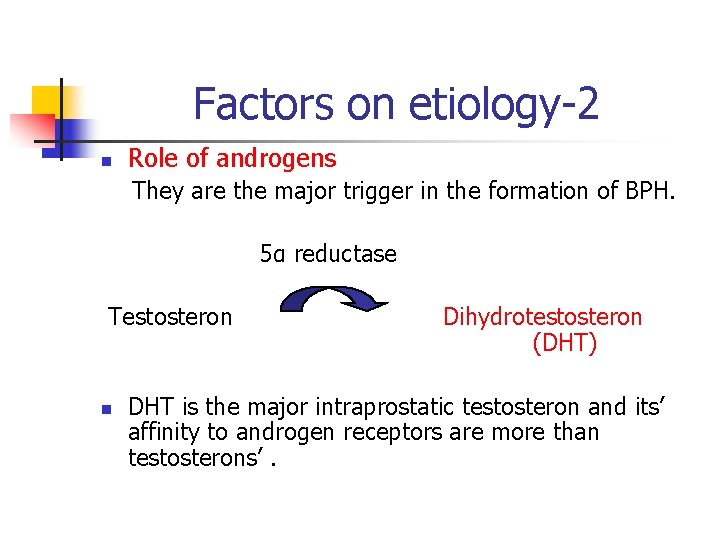 Factors on etiology-2 n Role of androgens They are the major trigger in the