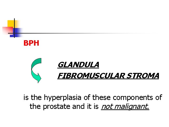 BPH GLANDULA FIBROMUSCULAR STROMA is the hyperplasia of these components of the prostate and