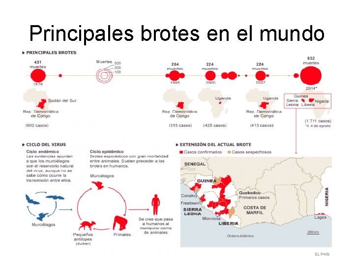 Principales brotes en el mundo 